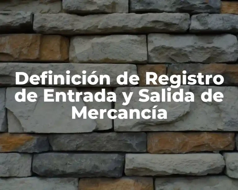 Definición de Registro de Entrada y Salida de Mercancía