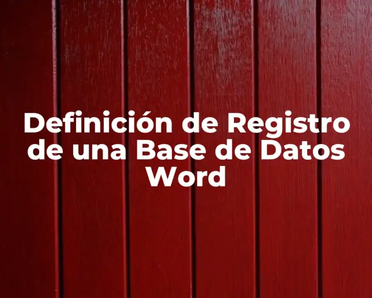 Definición de Registro de una Base de Datos Word