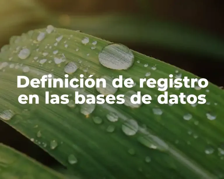 Definición de registro en las bases de datos