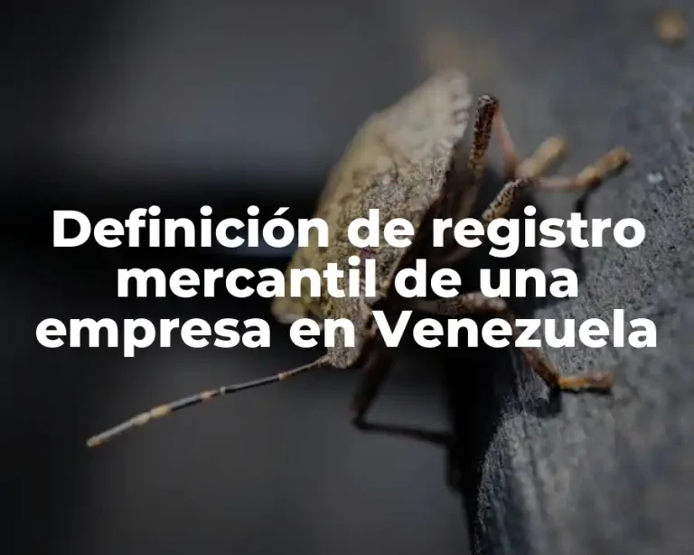 Definición de registro mercantil de una empresa en Venezuela