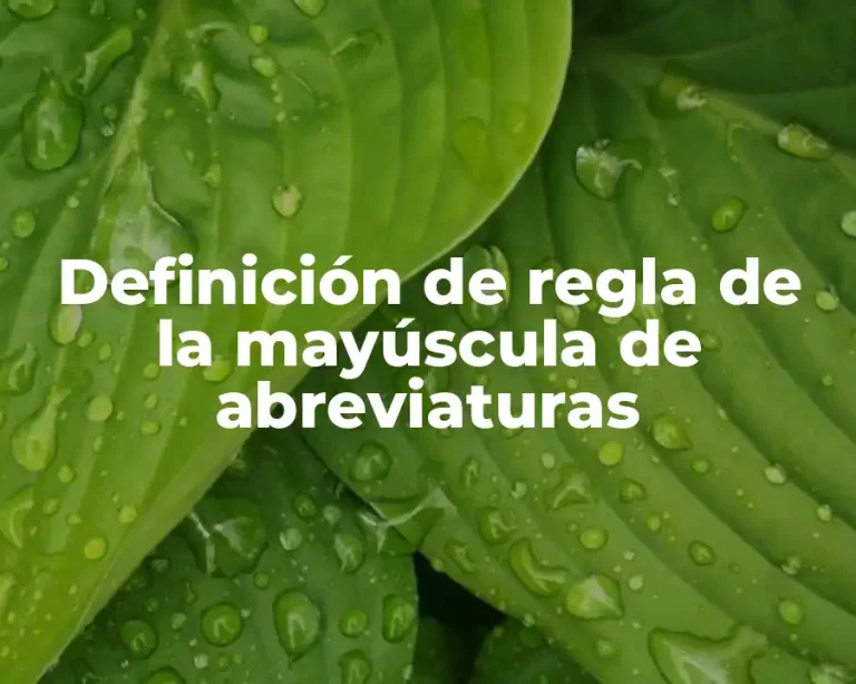 Definición de regla de la mayúscula de abreviaturas