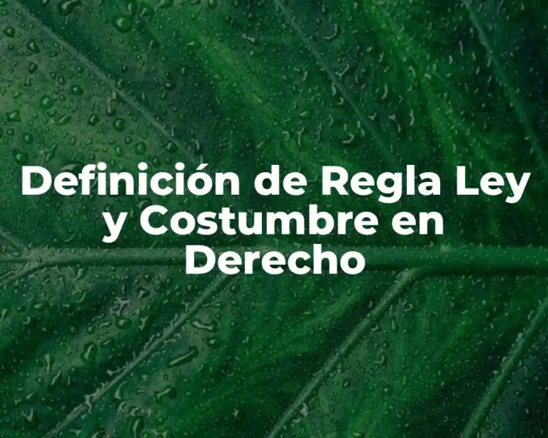 Definición de Regla Ley y Costumbre en Derecho