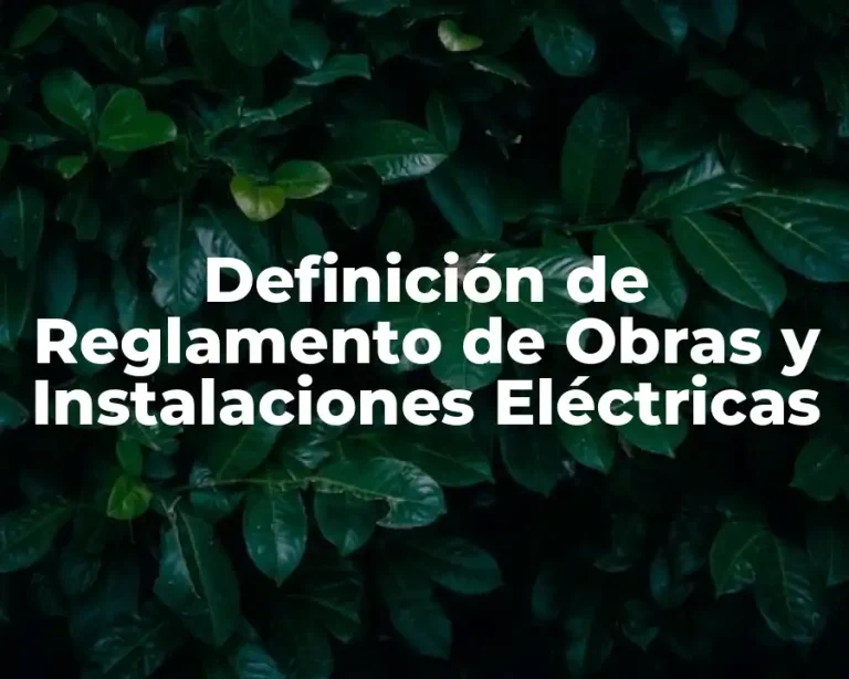 Definición de Reglamento de Obras y Instalaciones Eléctricas