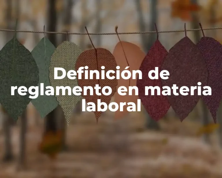 Definición de reglamento en materia laboral