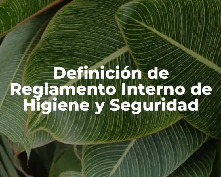 Definición de Reglamento Interno de Higiene y Seguridad