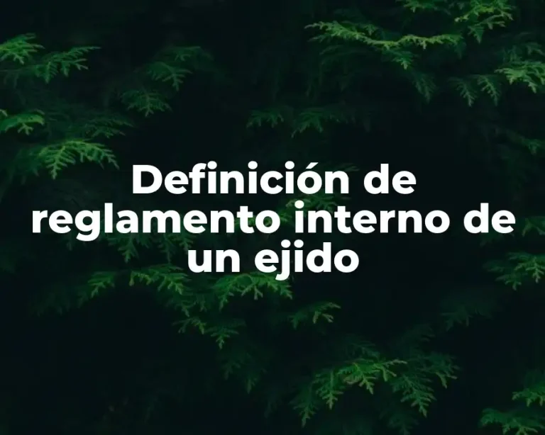 Definición de reglamento interno de un ejido