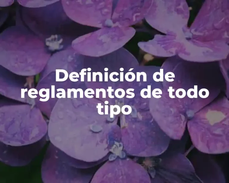 Definición de reglamentos de todo tipo