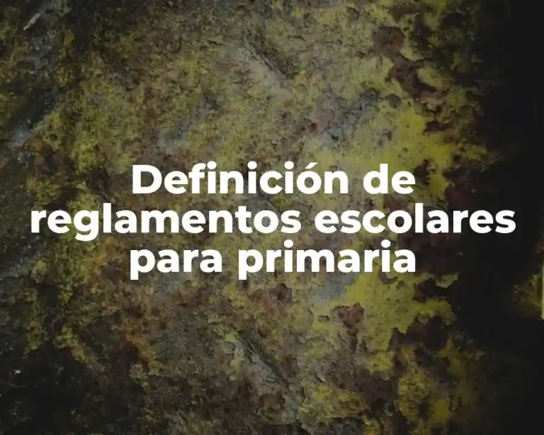 Definición de reglamentos escolares para primaria