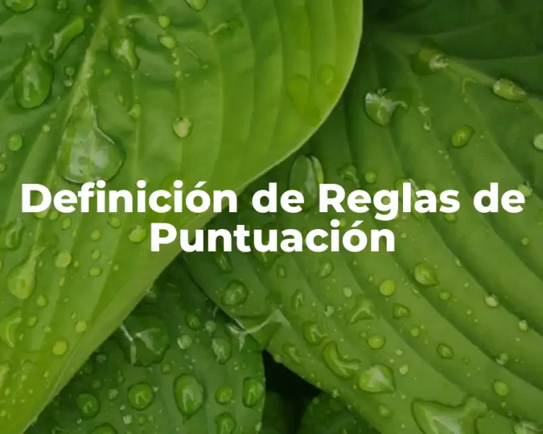 Definición de Reglas de Puntuación