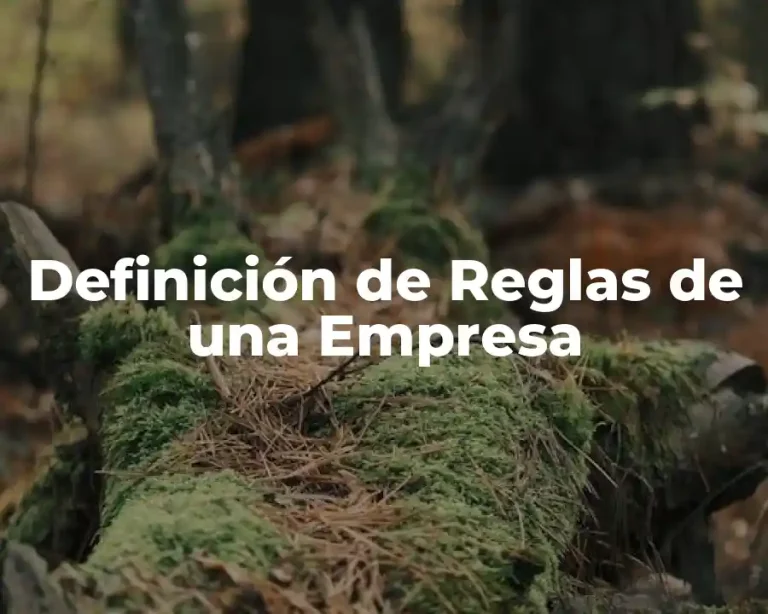 Definición de Reglas de una Empresa