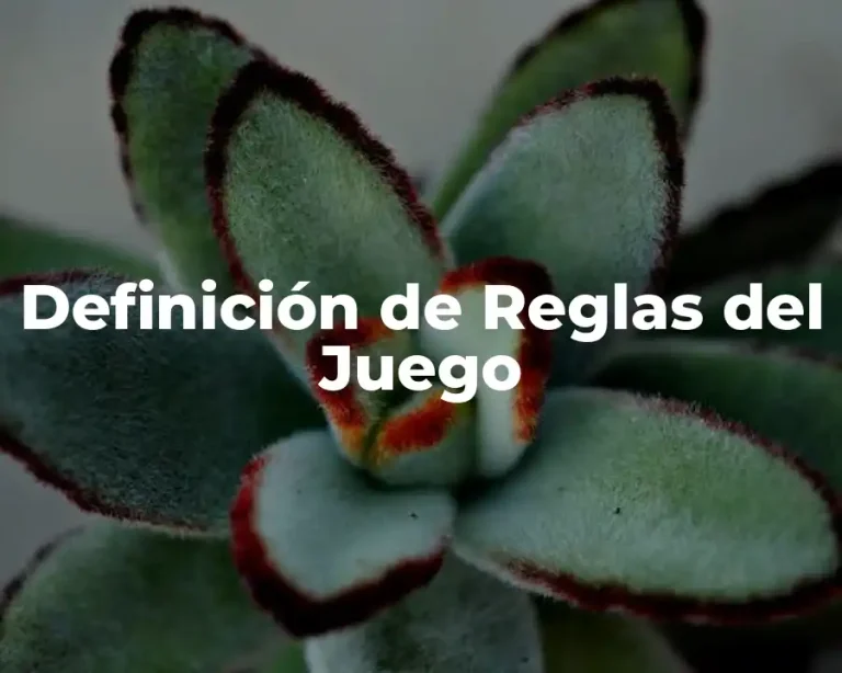 Definición de Reglas del Juego