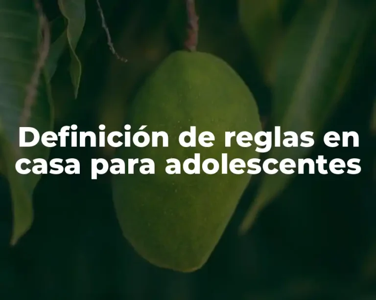Definición de reglas en casa para adolescentes