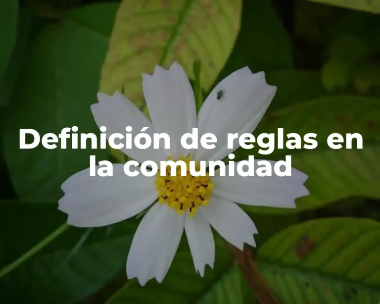 Definición de reglas en la comunidad