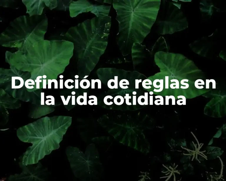 Definición de reglas en la vida cotidiana