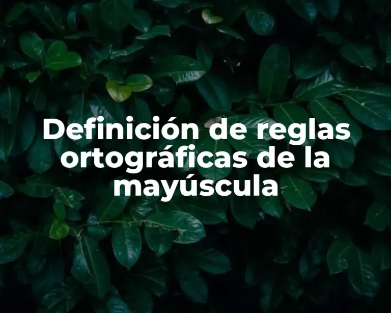 Definición de reglas ortográficas de la mayúscula