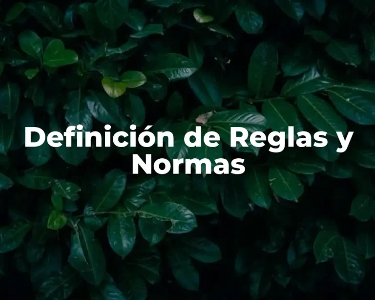 Definición de Reglas y Normas