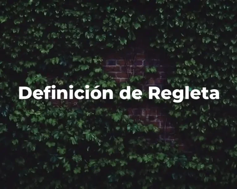 Definición de Regleta