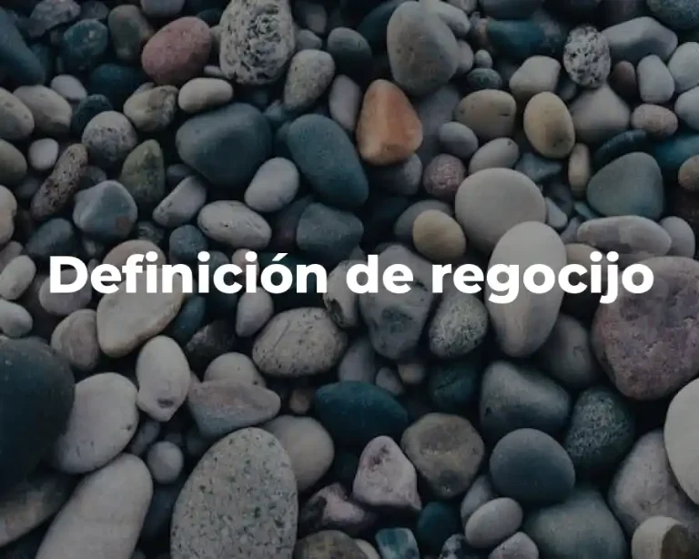Definición de regocijo