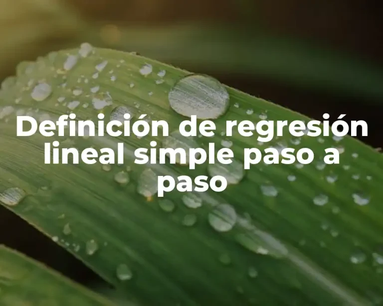 Definición de regresión lineal simple paso a paso