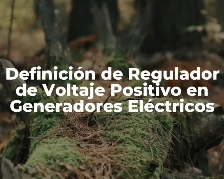 Definición de Regulador de Voltaje Positivo en Generadores Eléctricos