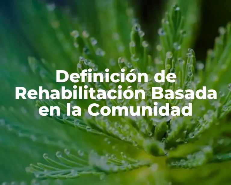 Definición de Rehabilitación Basada en la Comunidad