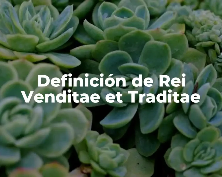 Definición de Rei Venditae et Traditae
