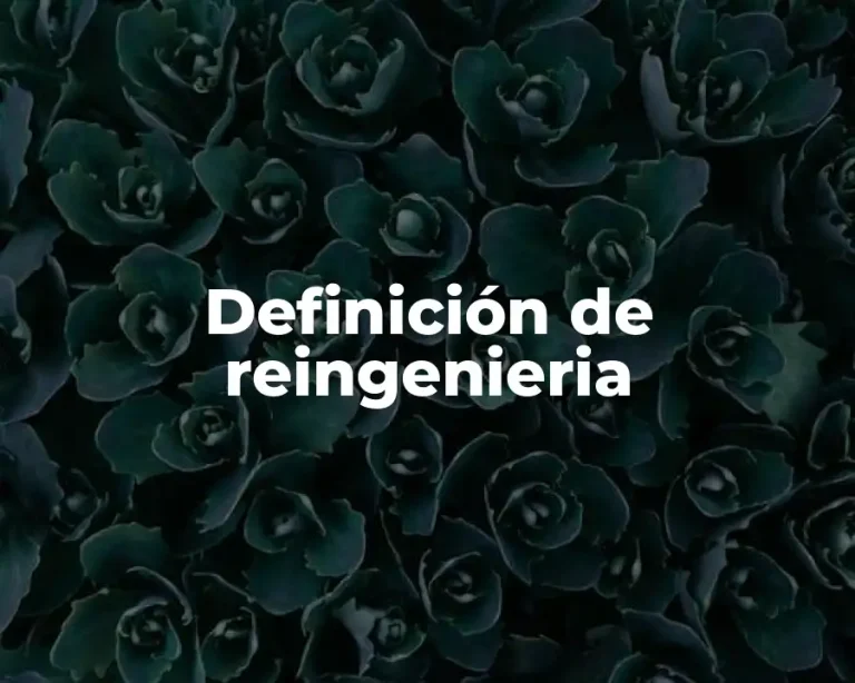 Definición de reingenieria