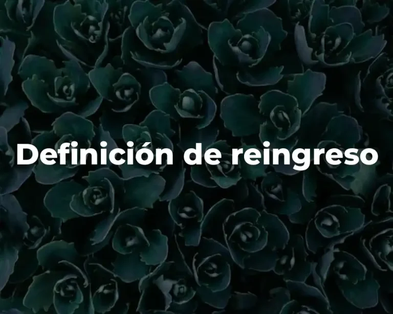 Definición de reingreso