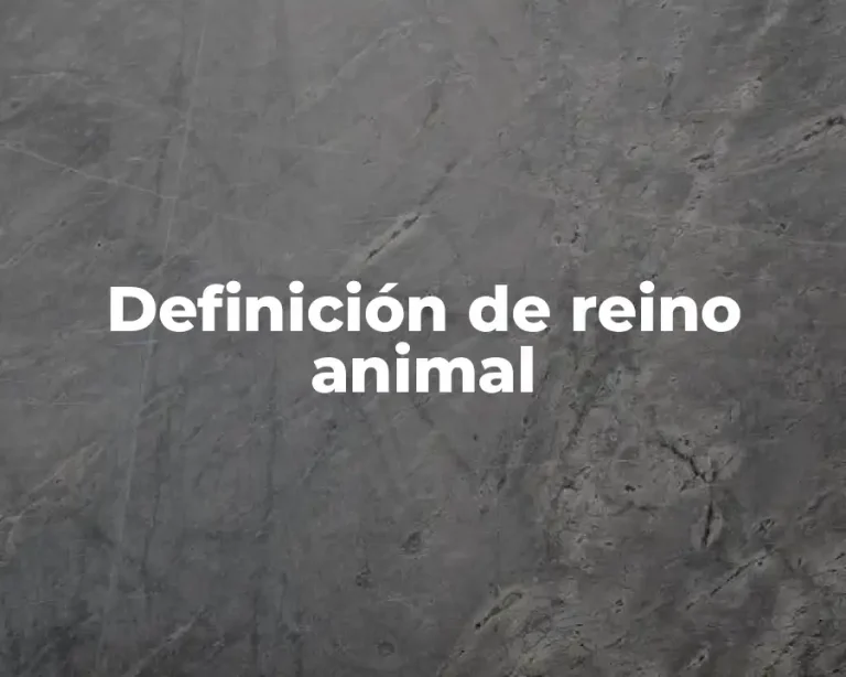 Definición de reino animal