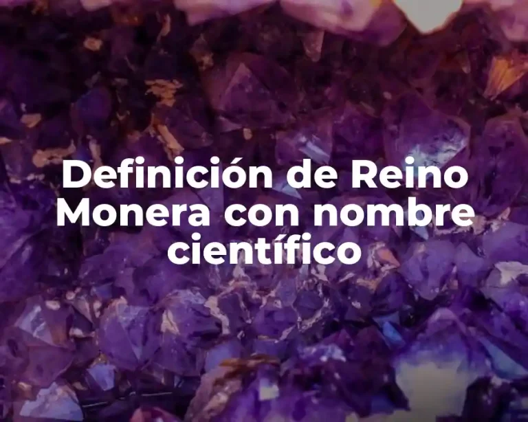 Definición de Reino Monera con nombre científico