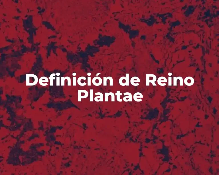 Definición de Reino Plantae