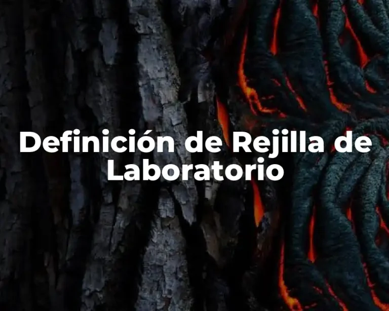 Definición de Rejilla de Laboratorio