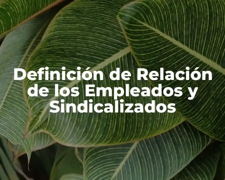 Definición de Relación de los Empleados y Sindicalizados