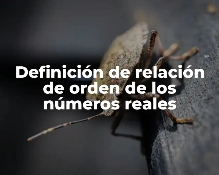 Definición de relación de orden de los números reales