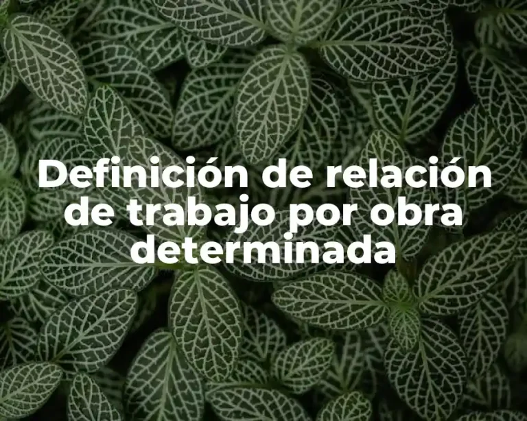 Definición de relación de trabajo por obra determinada