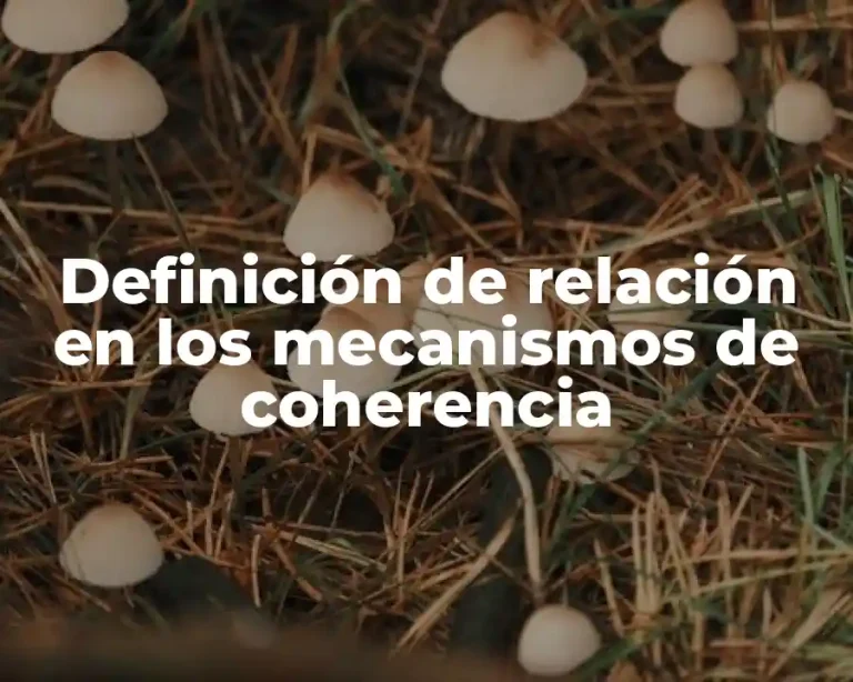 Definición de relación en los mecanismos de coherencia