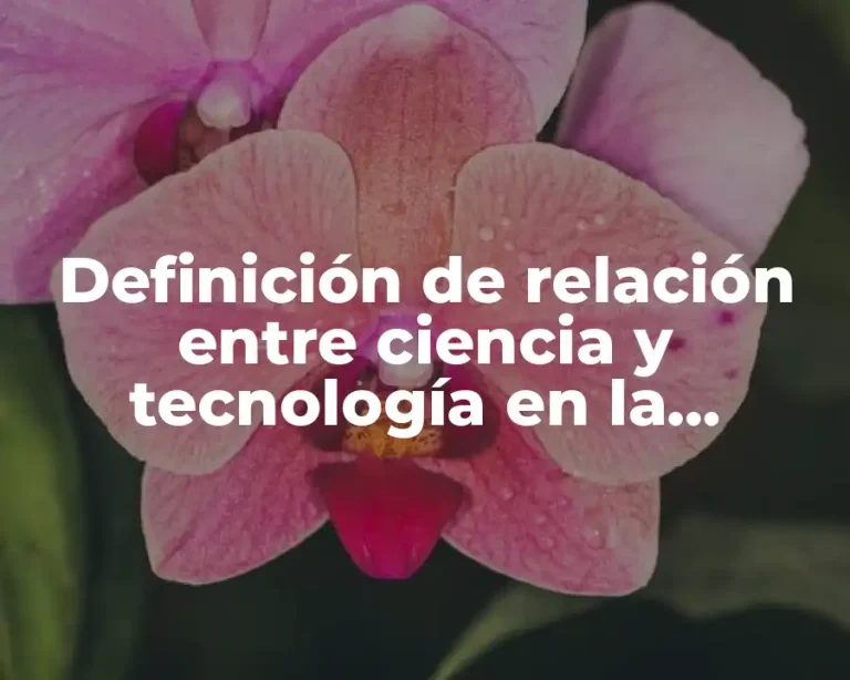 Definición de relación entre ciencia y tecnología en la biología