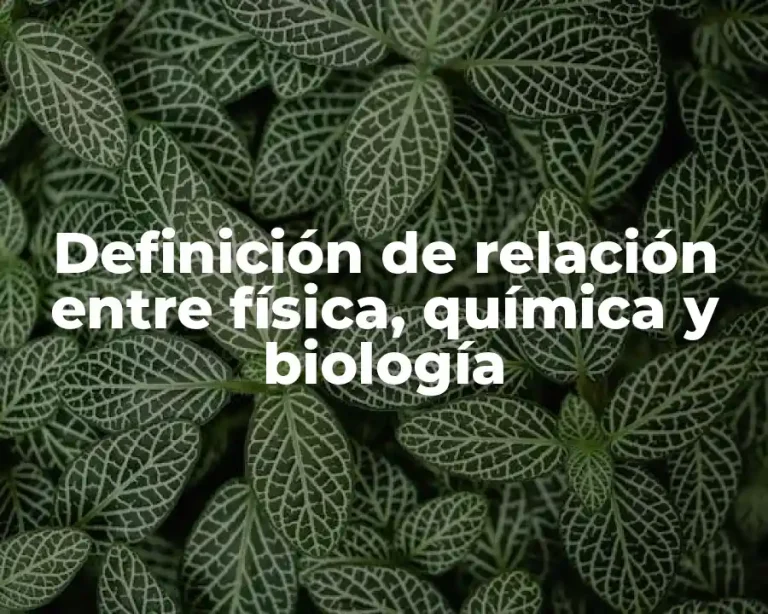Definición de relación entre física, química y biología