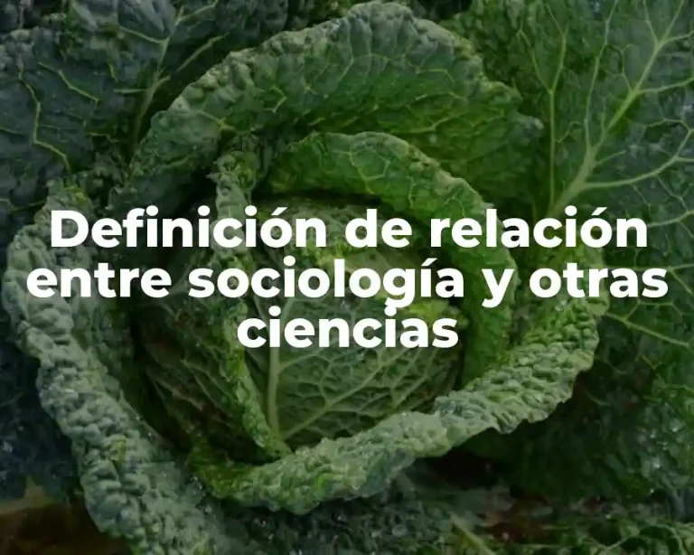 Definición de relación entre sociología y otras ciencias