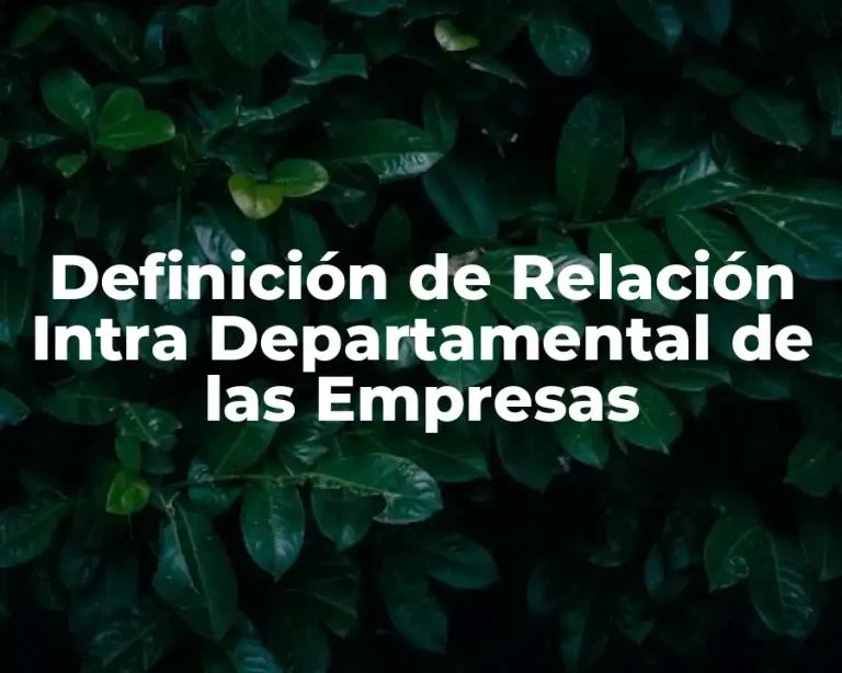 Definición de Relación Intra Departamental de las Empresas