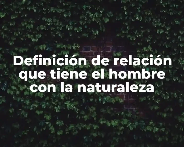 Definición de relación que tiene el hombre con la naturaleza