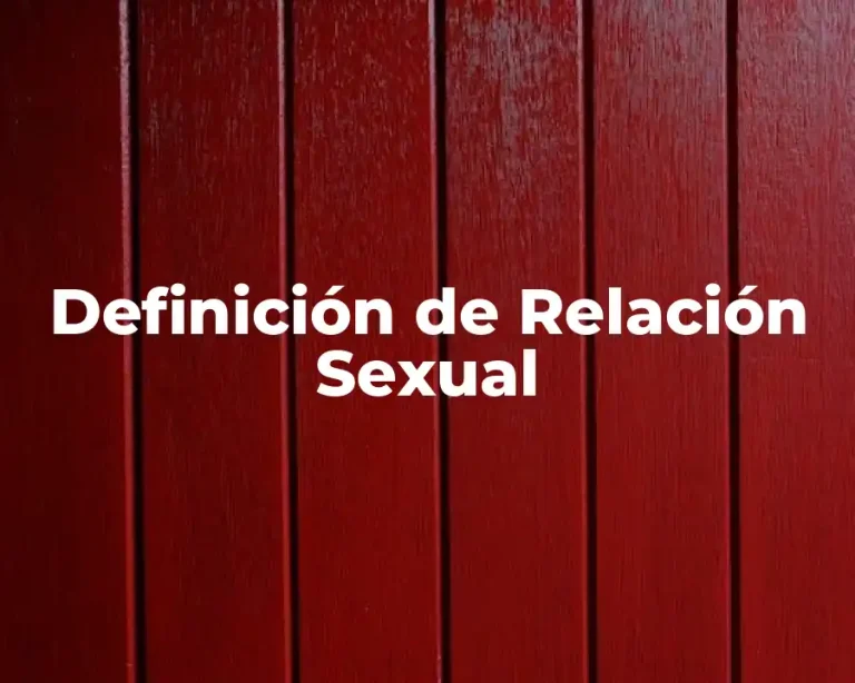 Definición de Relación Sexual