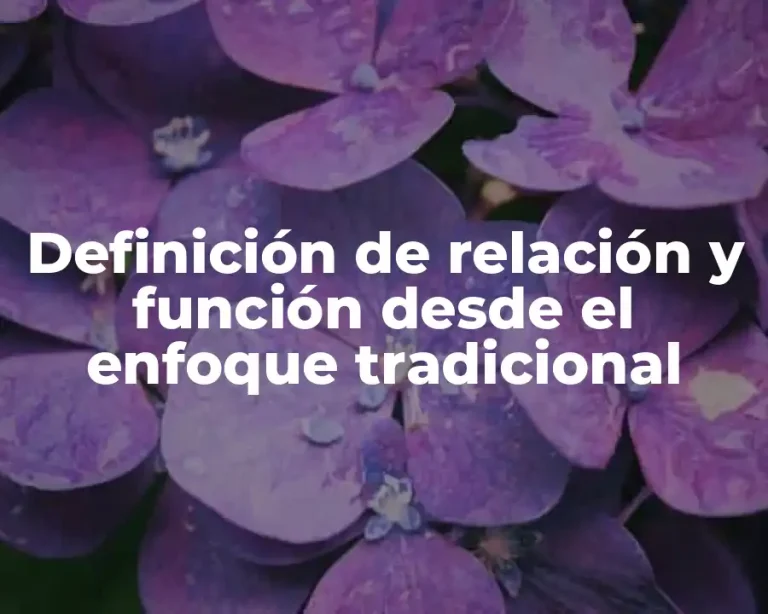 Definición de relación y función desde el enfoque tradicional