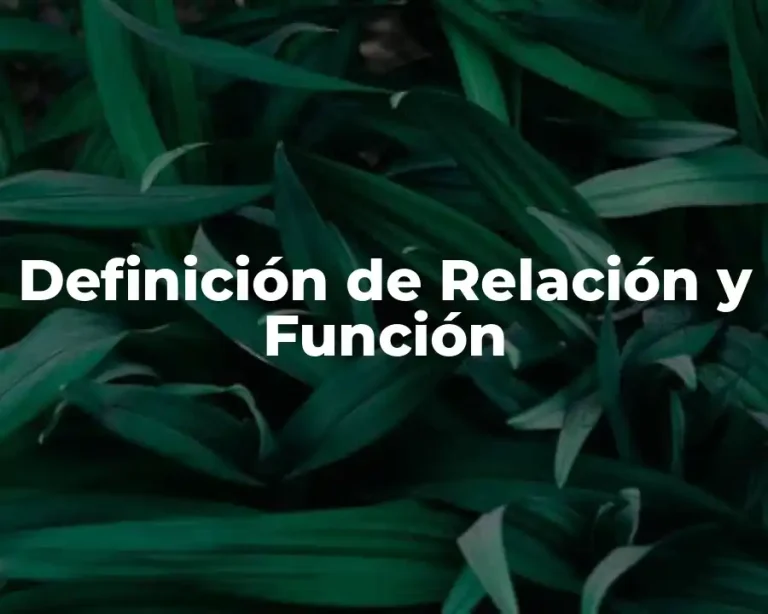 Definición de Relación y Función