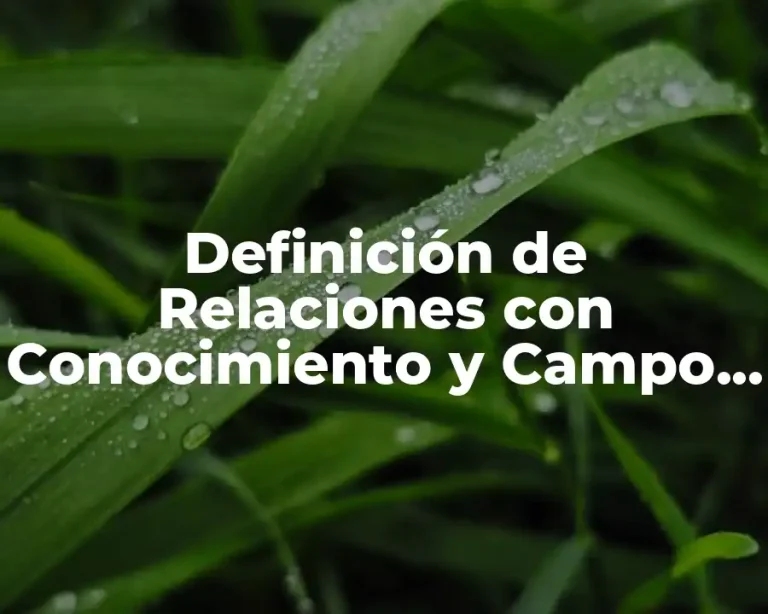 Definición de Relaciones con Conocimiento y Campo González