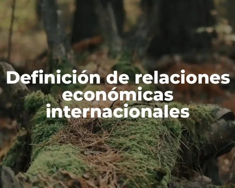 Definición de relaciones económicas internacionales