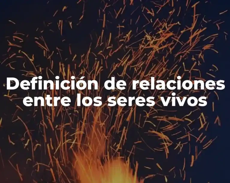 Definición de relaciones entre los seres vivos