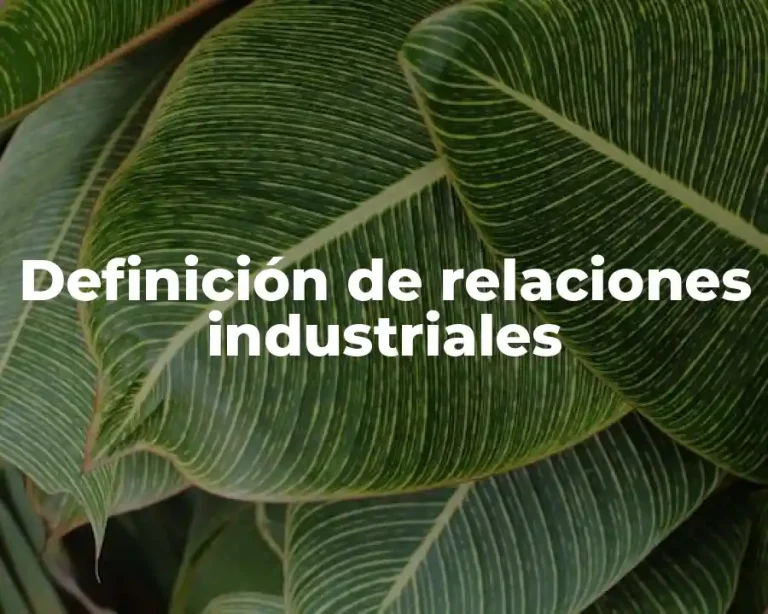 Definición de relaciones industriales