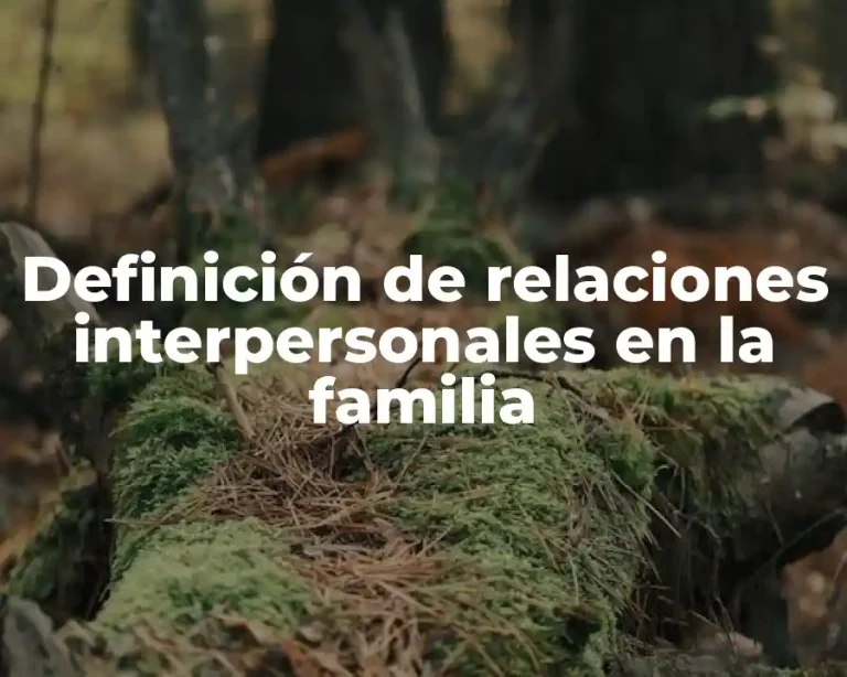 Definición de relaciones interpersonales en la familia