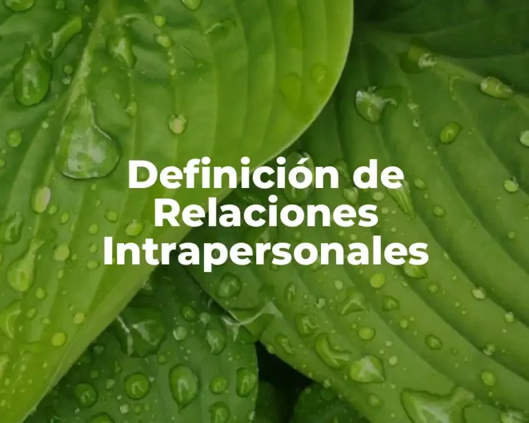 Definición de Relaciones Intrapersonales